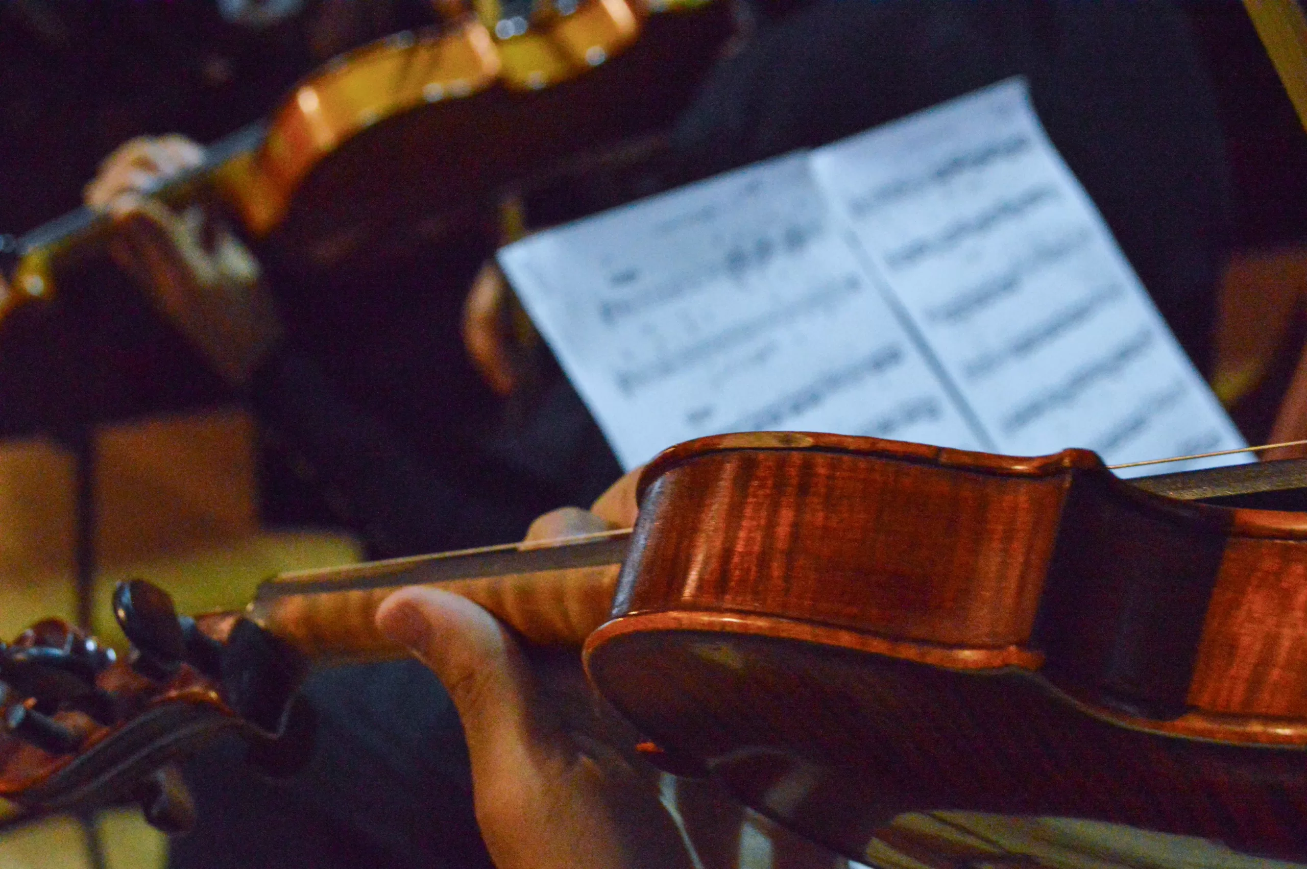 Teatro Imperial anuncia sua orquestra residente e abre inscrições para audições