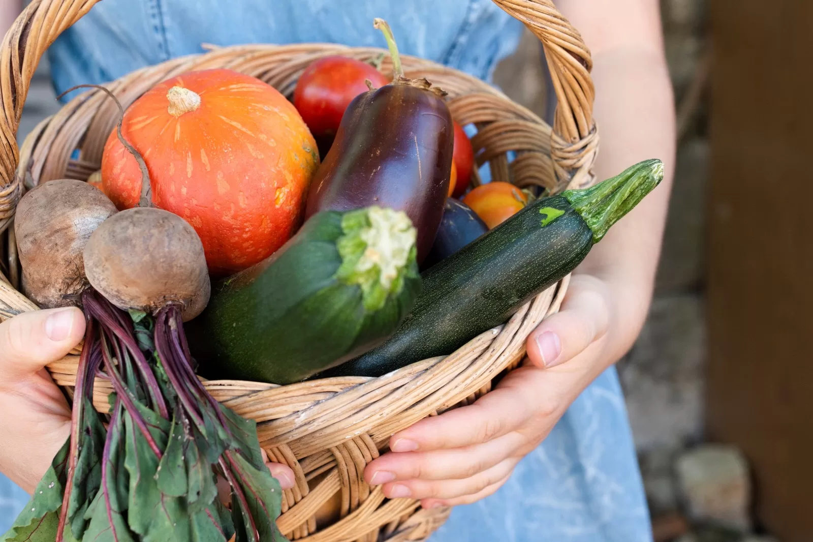 Agricultura sustentável e sua mesa: como incluir os alimentos in natura e menos processados na nossa alimentação?